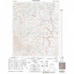 PASO DEL RÍO NEGRO (GEOTIFF)