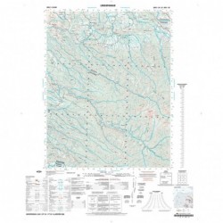 LONCOPANGUE (PAPEL)