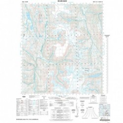 RÍO AÑO NUEVO (GEOTIFF)