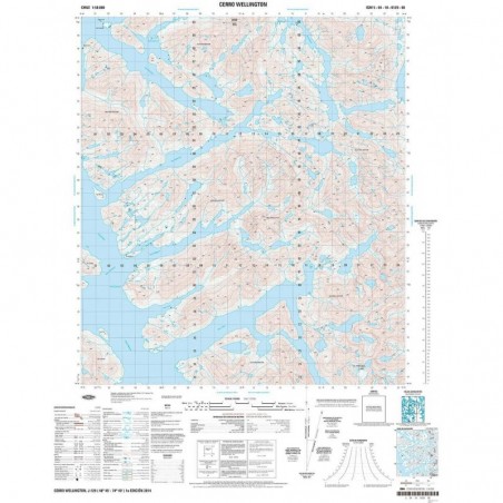 CERRO WELLINGTON (PAPEL)