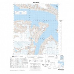 MONTE SARMIENTO (GEOTIFF)